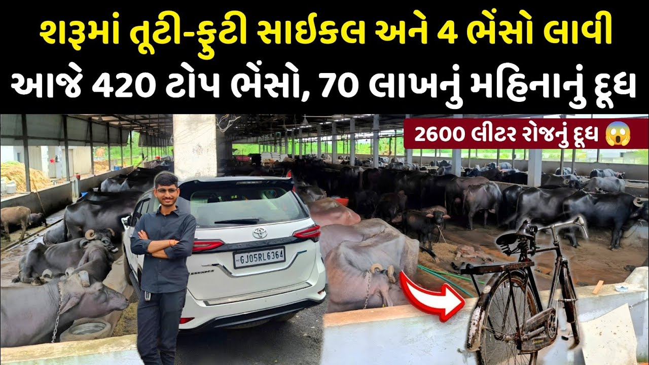 ગરીબીમાં 4 ભેંસ અને Cycle થી શરૂઆત, આજે Luxury 🚗 Fortuner – Dairy Farming Millionaire Success.