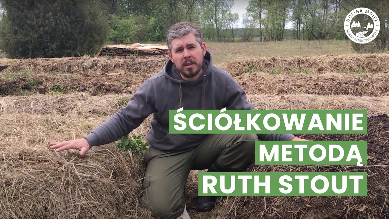 Ści&oacute;łkowanie sianem według metody Ruth Stout