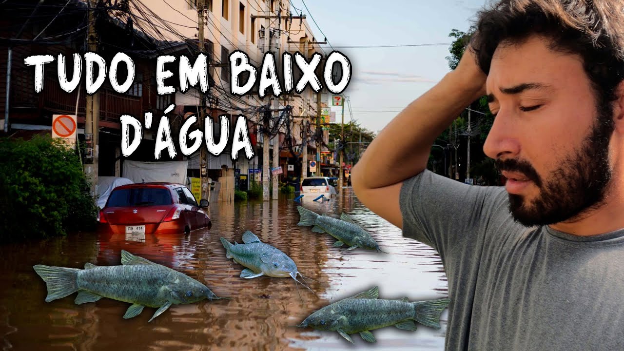INUNDAÇÕES ATINGIRAM MINHA CIDADE!