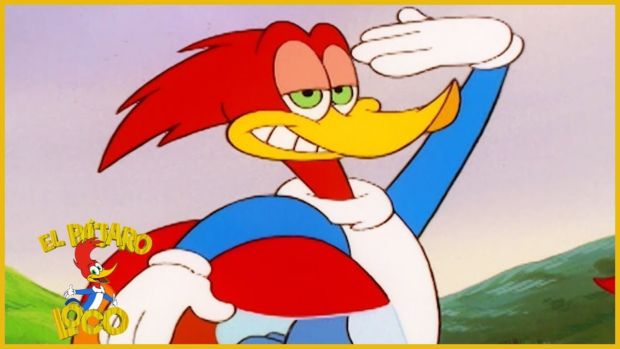 El Pájaro Loco en Español | La Carrera | Dibujos Animados en Español