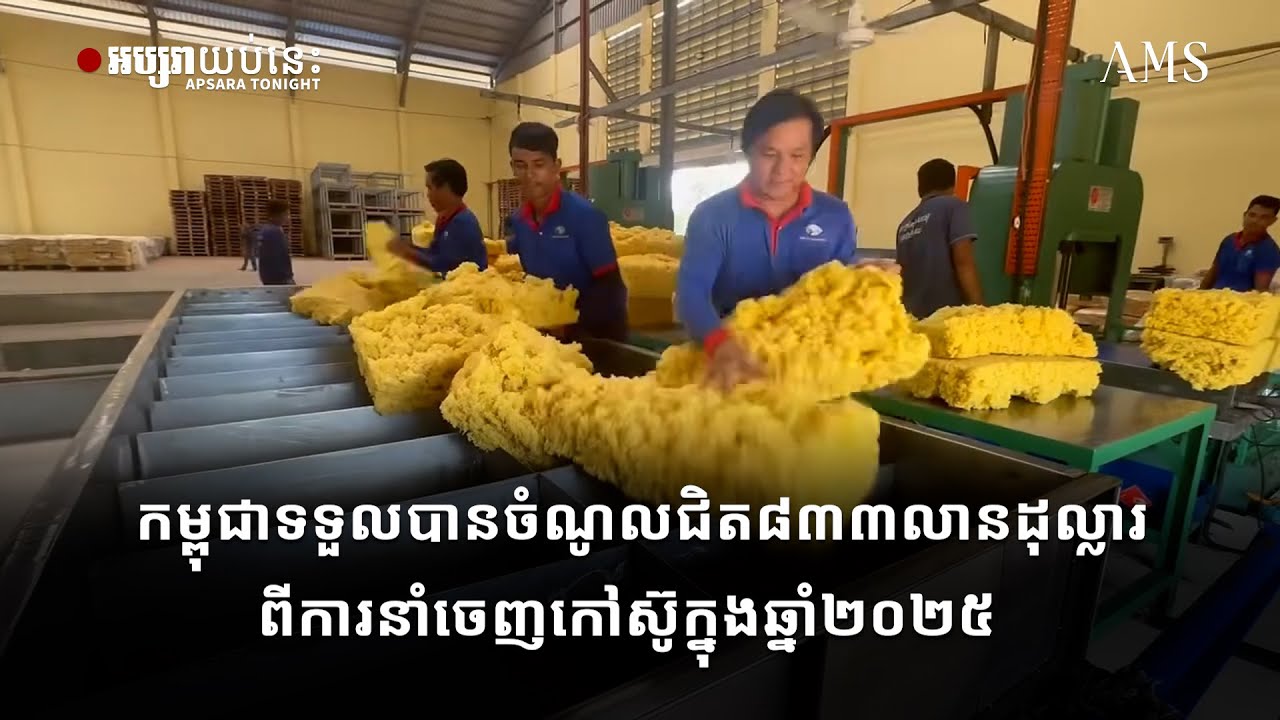 កម្ពុជាទទួលបានចំណូលជិត៨៣៣លានដុល្លារពីការនាំចេញកៅស៊ូក្នុងឆ្នាំ២០២៥ 1