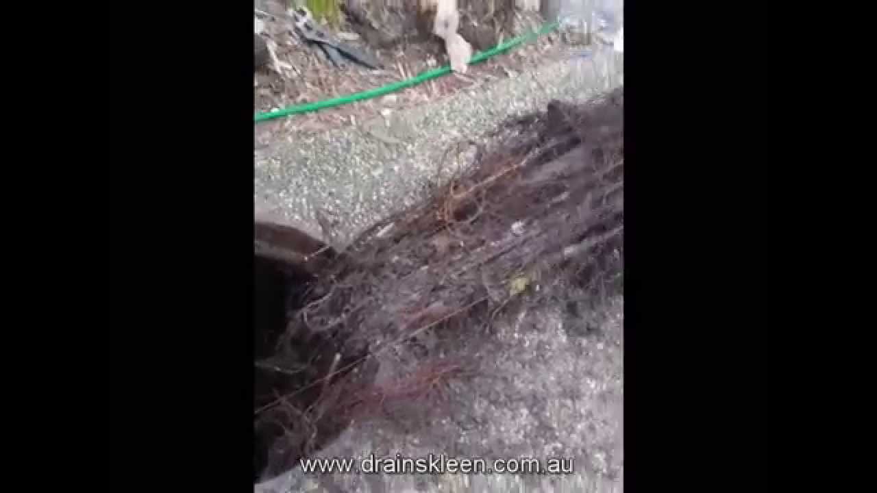 Blocked Stormwater Drain