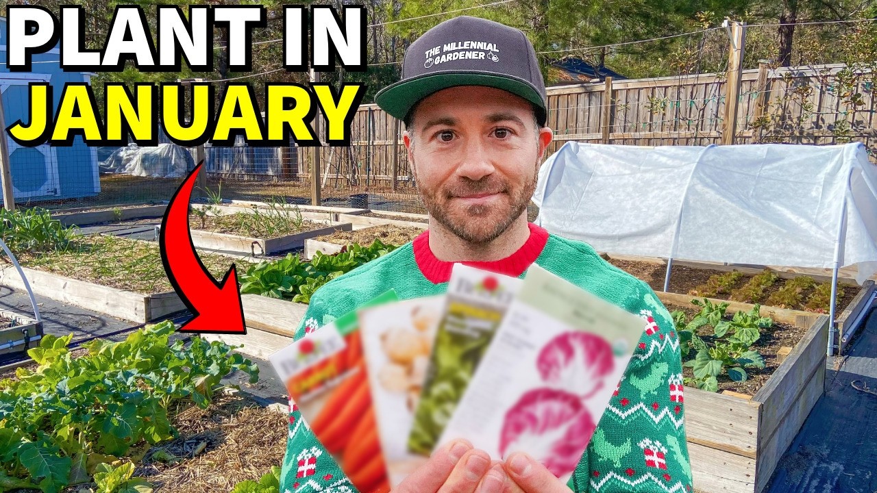36 Veggies You Can Plant In January RIGHT NOW!