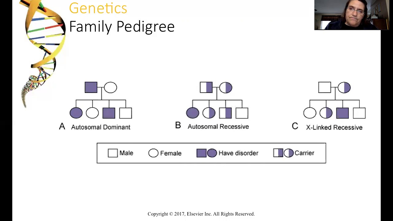 NUR371 Chapter 12 Genetics and Genomics