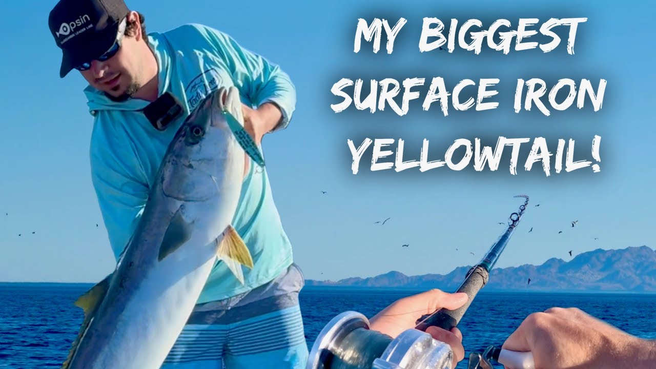Ep. 3: Surface Iron Yellowtail | Run & Gun!