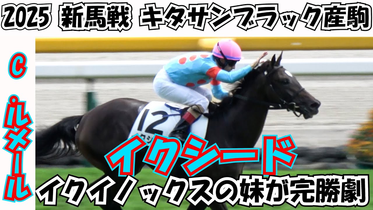 【新馬戦2025】【イクイノックス】の妹⑫イクシードがデビュー戦で勝利‼ 場内から拍手‼ 現地映像