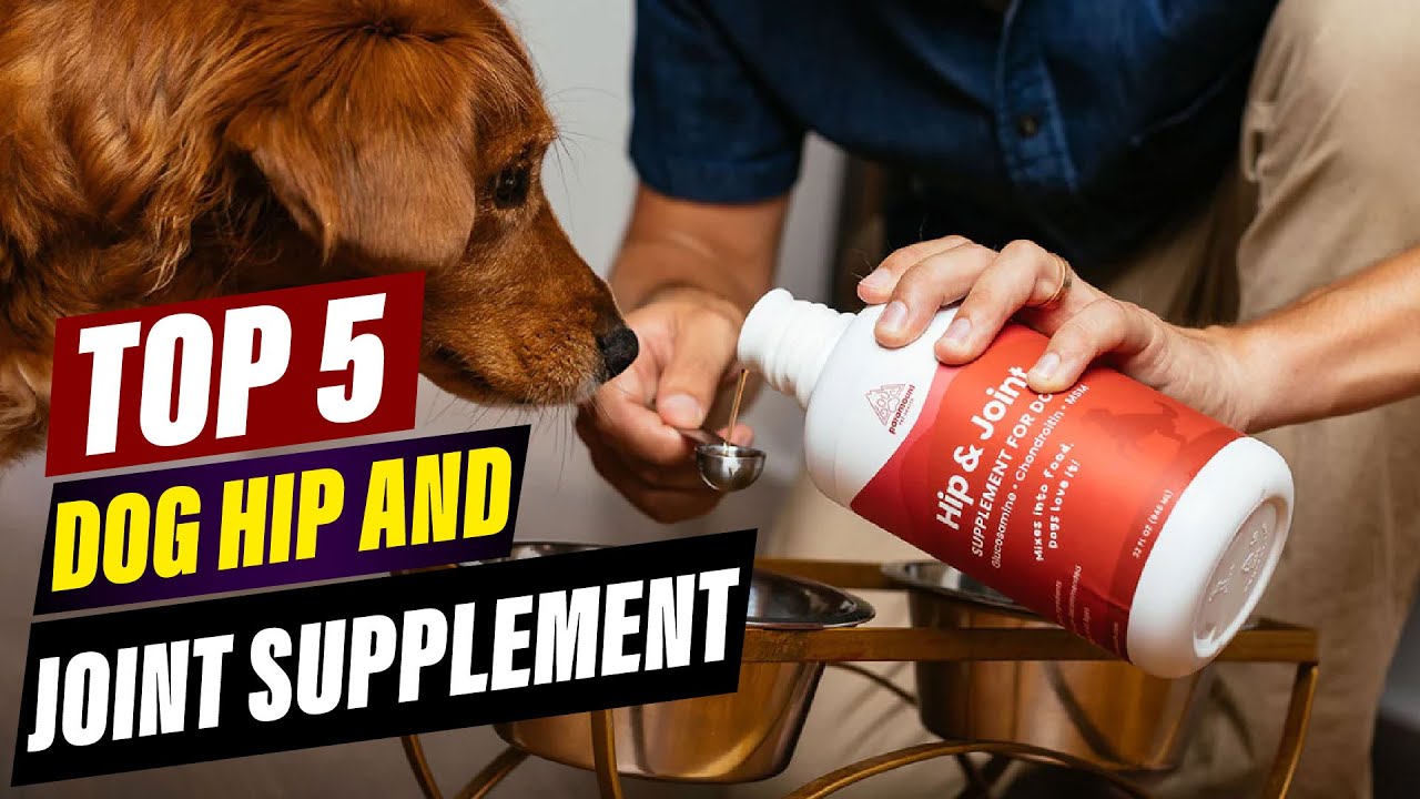 Лучшая добавка для суставов и бедер собак 2026 года: улучшает подвижность и уменьшает боль.