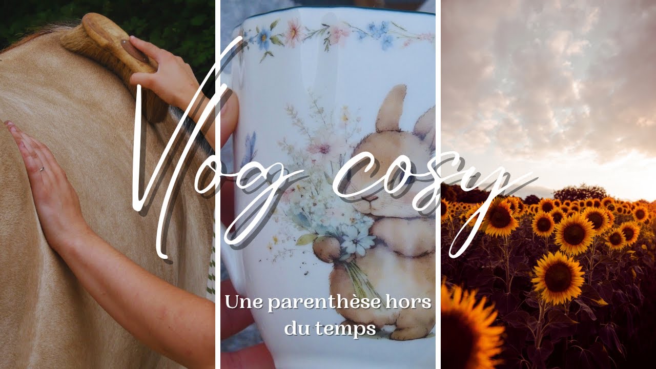 Brocante, animaux et troglodytes - Vlog Cosy n°11