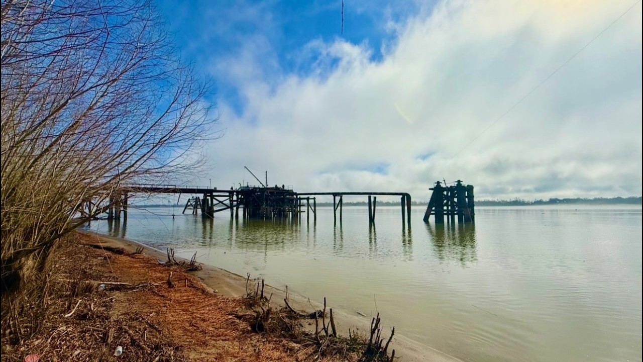 Bank fishing the Mississippi River ***CATCH AND COOK***