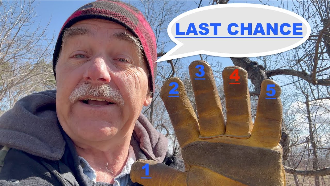5 TASKS Late Winter Early Spring for YOUR FRUIT TREES (Walkabout)