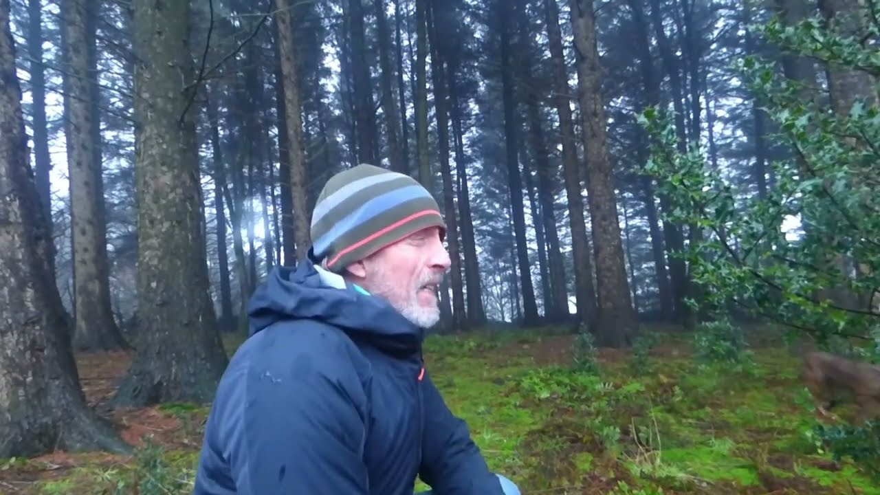 Let me share these sounds with you deep in a pine forest - wow that's atmospheric
