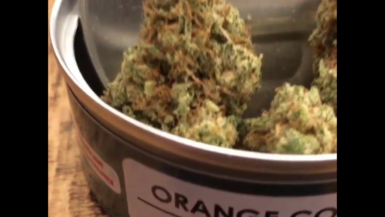 Daberge 710 Orange Cookies - Crazy Orange Terps!!