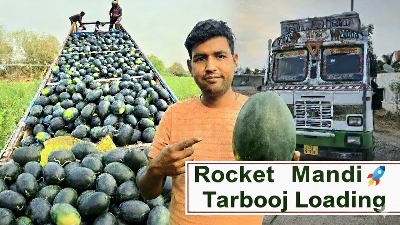 Tarbooj 🍉 Loading Jalgaon To Up || Rocket 🚀 mandi || #vlog