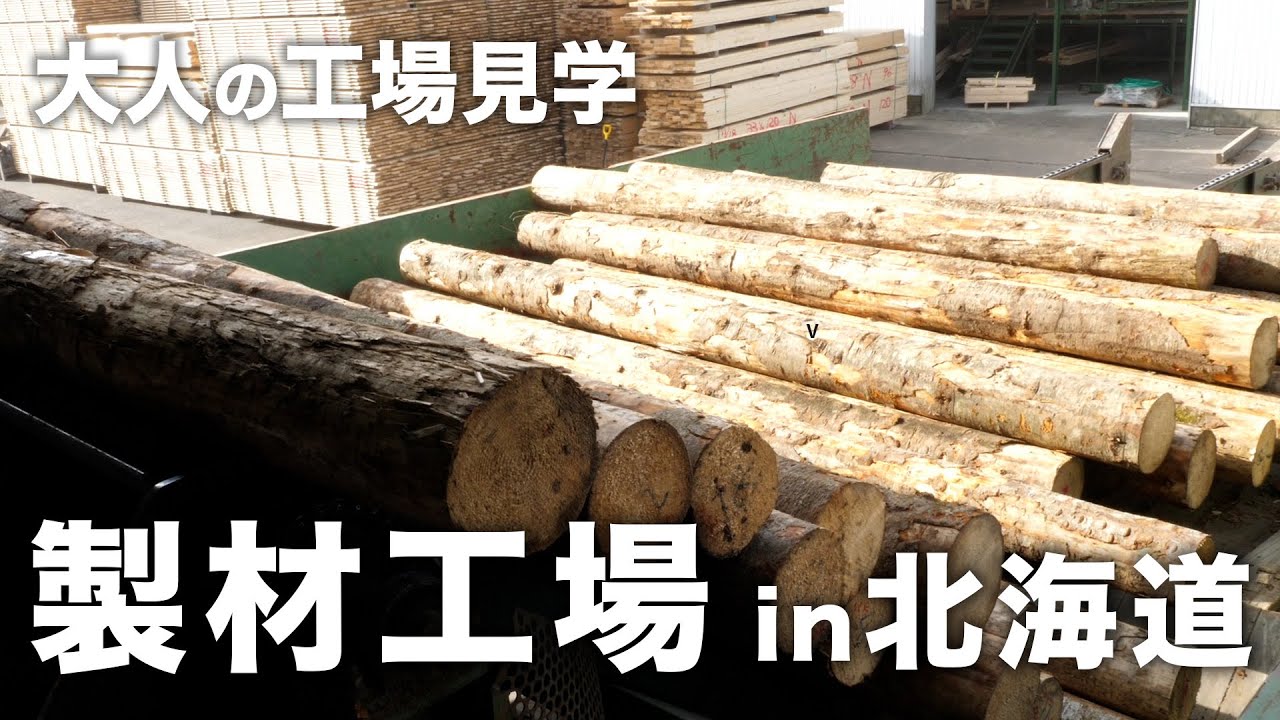 【北海道の製材工場に潜入】原木の選木から出荷までの工程をご紹介！