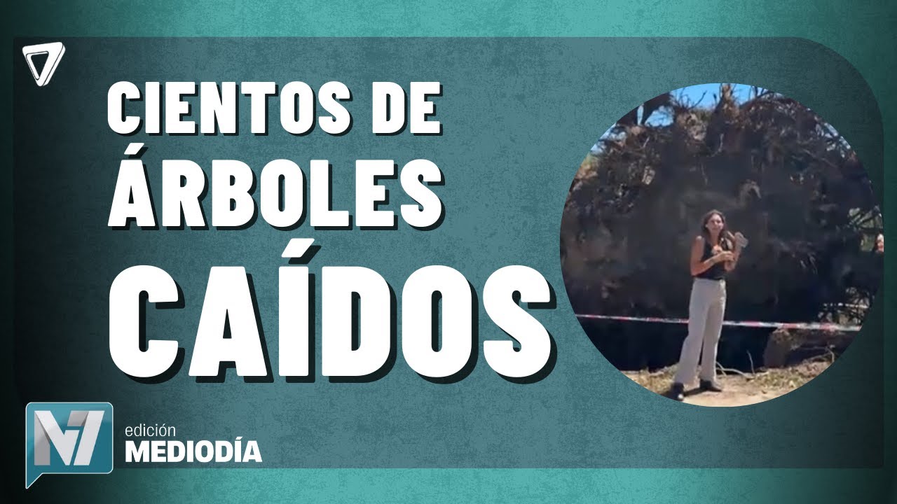 AHORA: la TORMENTA provocó la caída de CIENTOS de árboles en la zona Este