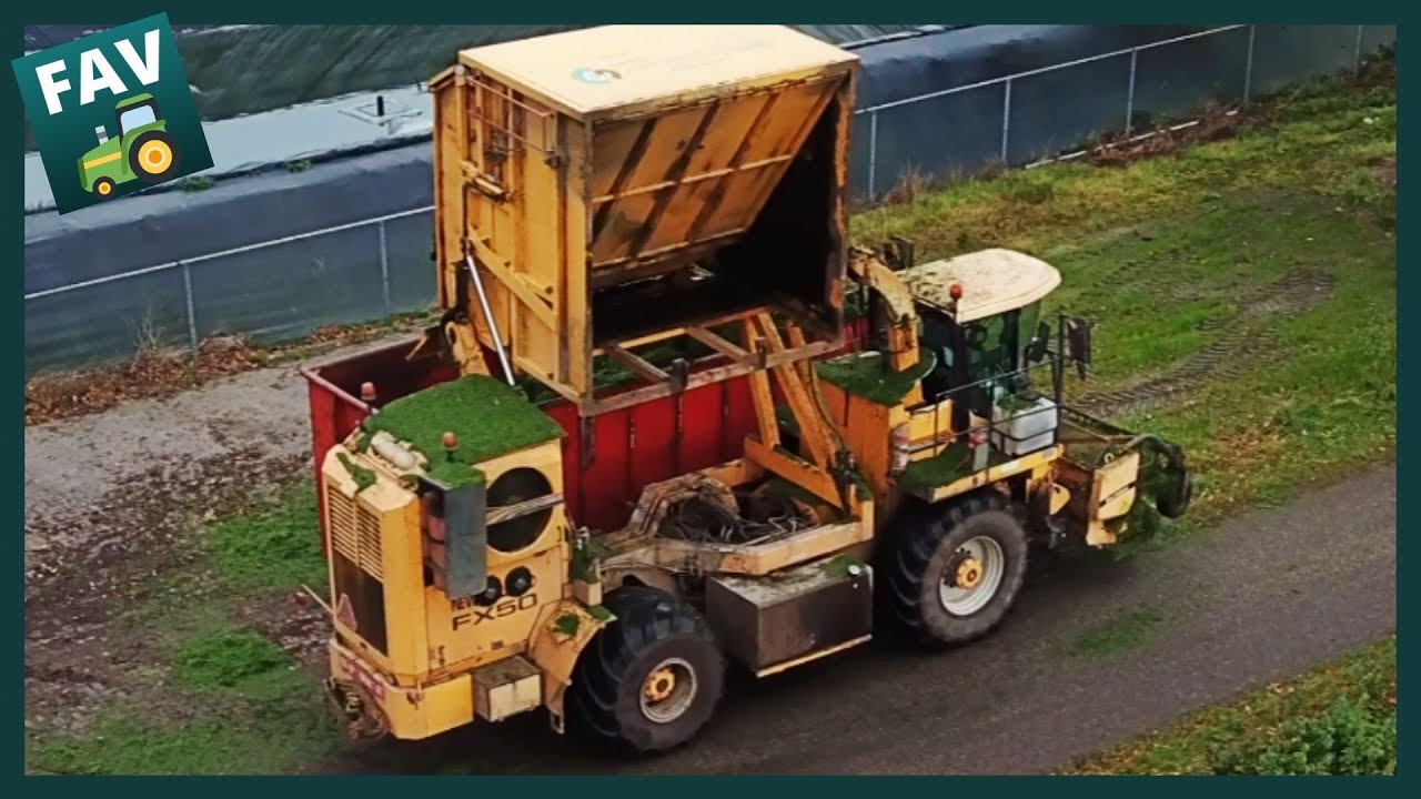 Grasdrogerij Ruinerwold 2020 | Gedroogde grasbrok & balen | New Holland FX50