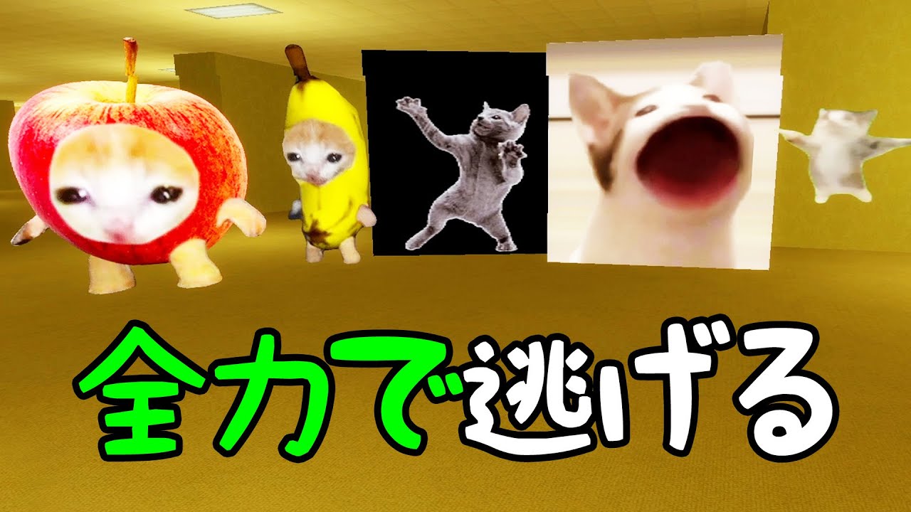 ハッピーキャットたちから全力で逃げる兄弟【GMOD】