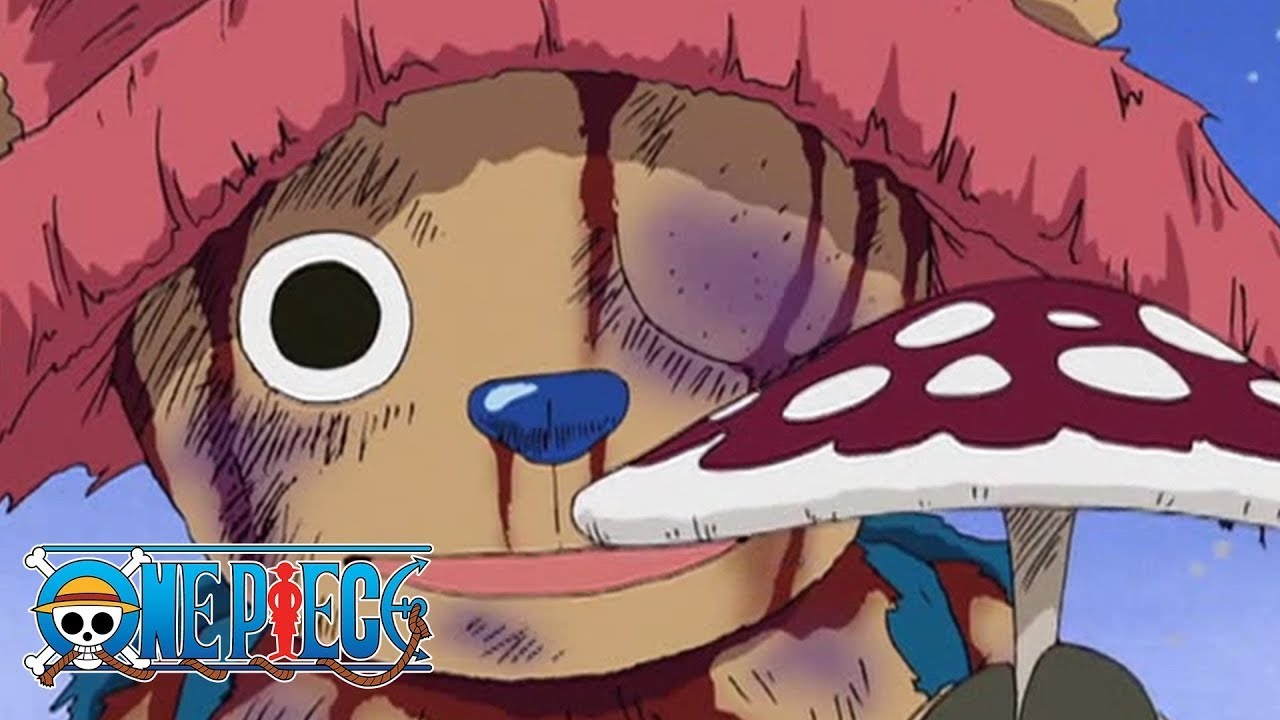 Mushroom | One Piece