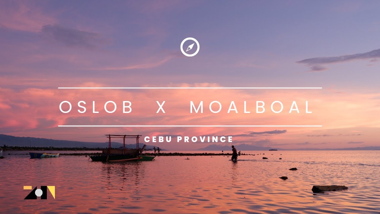Cebu Province 🇵🇭 [ EP.03 ] | OSLOB x MOALBOAL | DIY Solo Budget Travel Itinerary