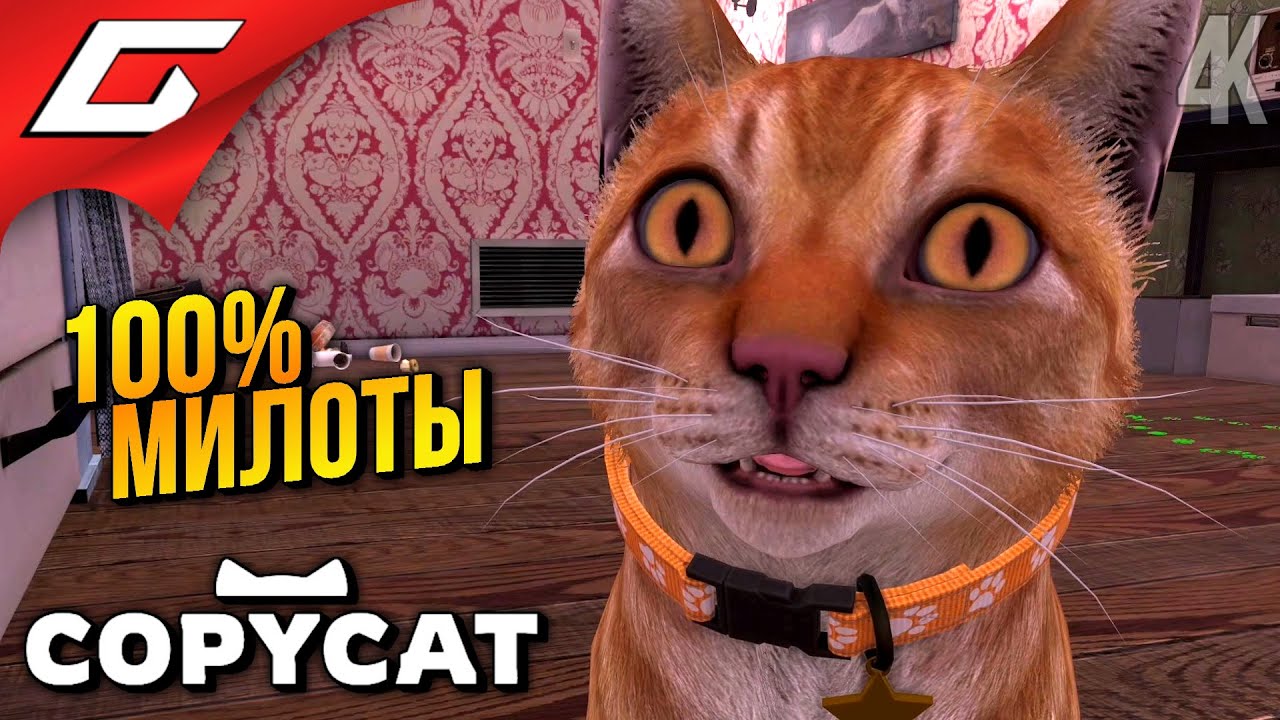САМАЯ МИЛАЯ ИГРА 2024 ➤ Copycat ◉ Прохождение 1