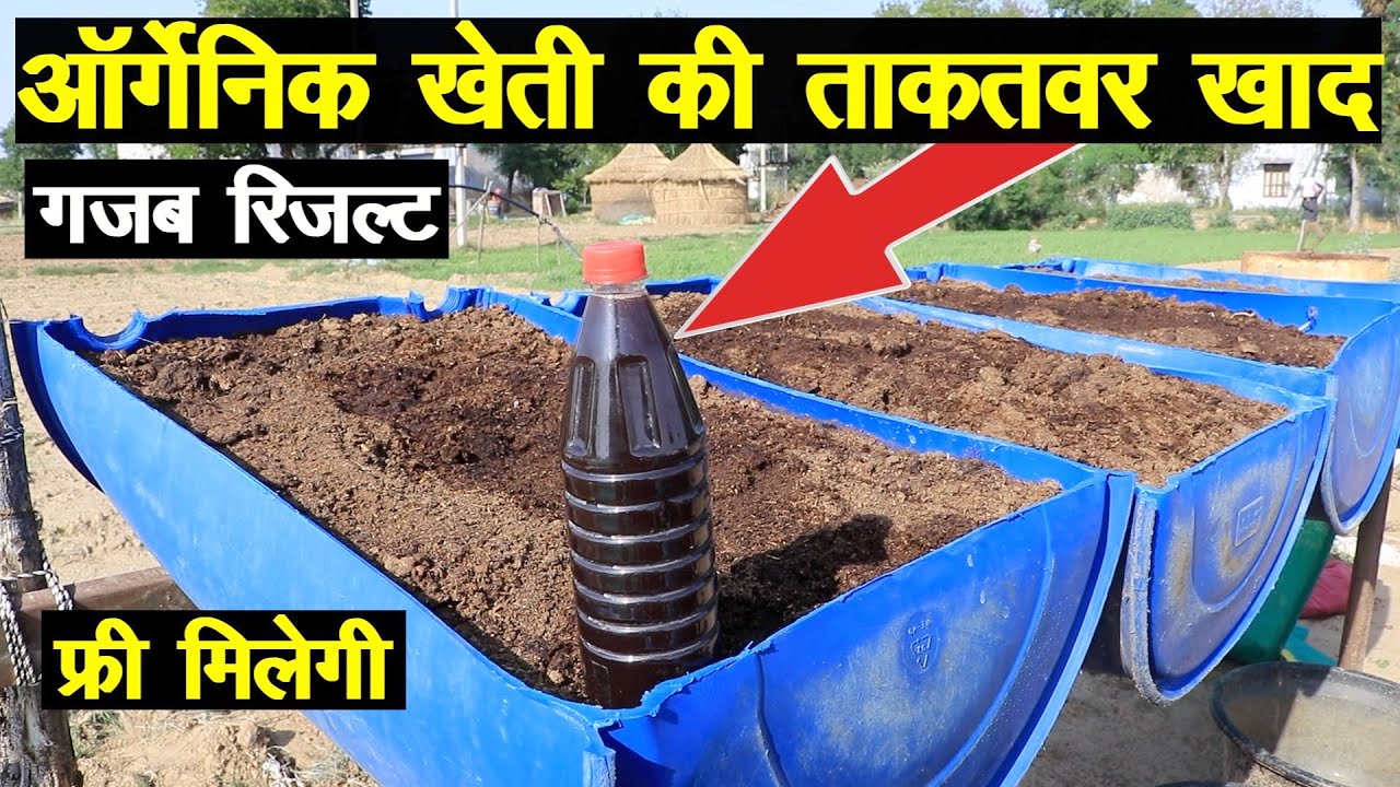 ऑर्गेनिक खेती की ताकतवर खाद, तैयार करने का गजब जुगाड़ || Technical Farming ||