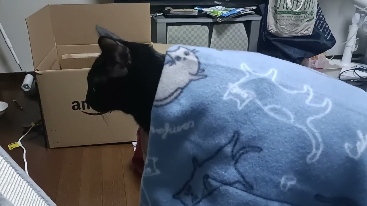 布団がかかってるこま