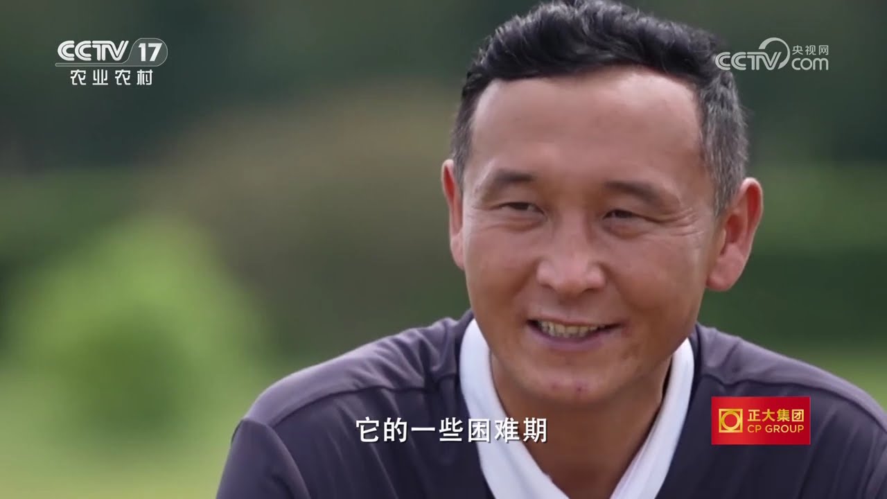 《三农群英汇》 20260211 马背长歌——伊犁马韵续传奇 | 农业致富经 Agriculture And Farming