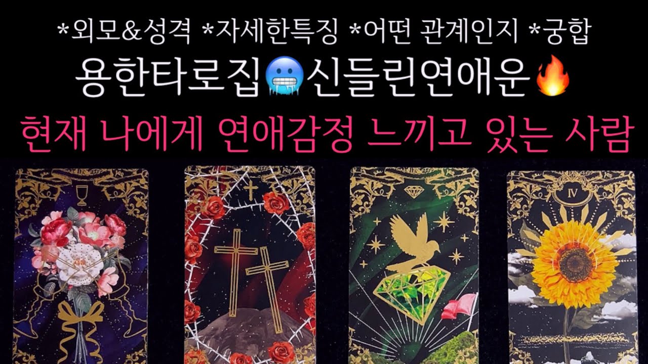 [타로]🌹용한타로집🥶신들린연애운🔥현재 나에게 연애감정 느끼고 있는 사람🔮 외모&성격•자세한특징•어떤 관계인지•궁합 등