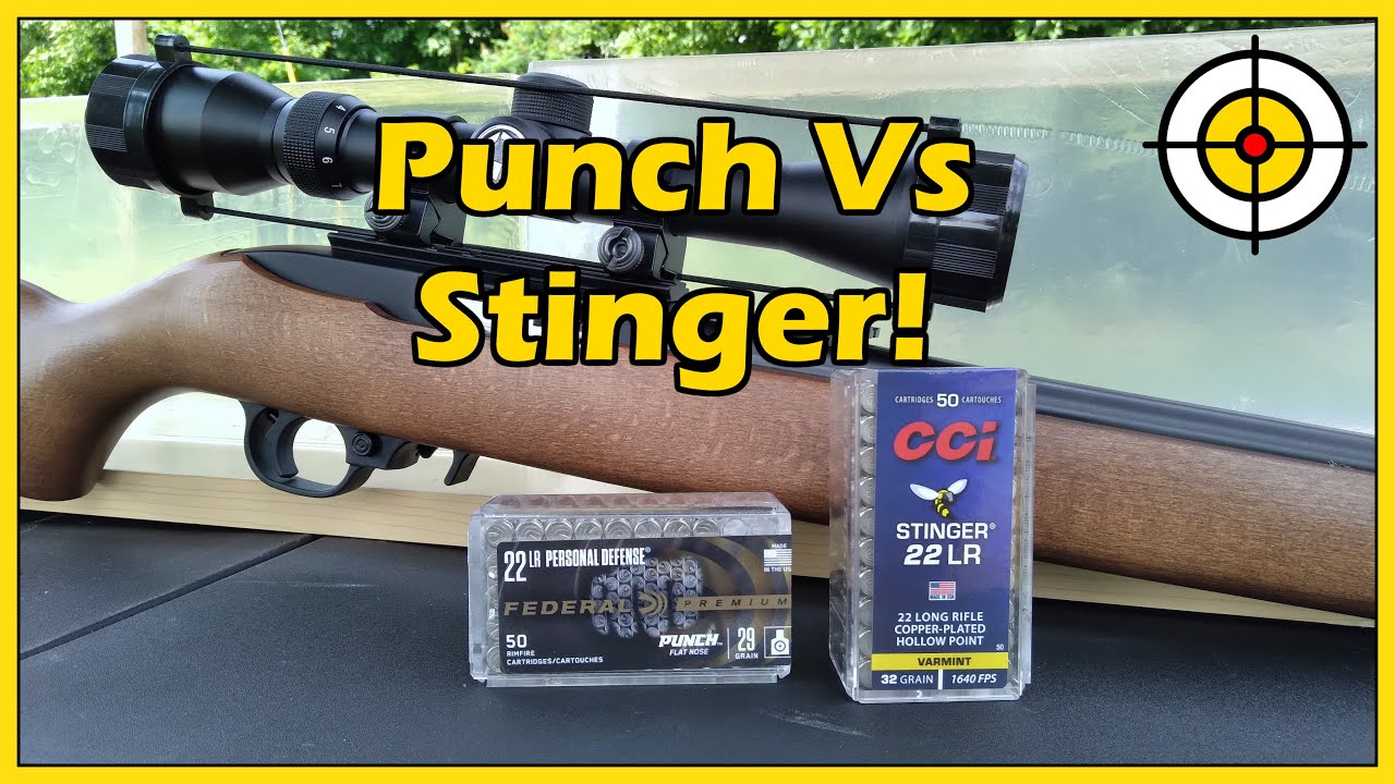 Тест баллистического геля Federal Punch против CCI Stinger .22lr с карабином Ruger 10/22!
