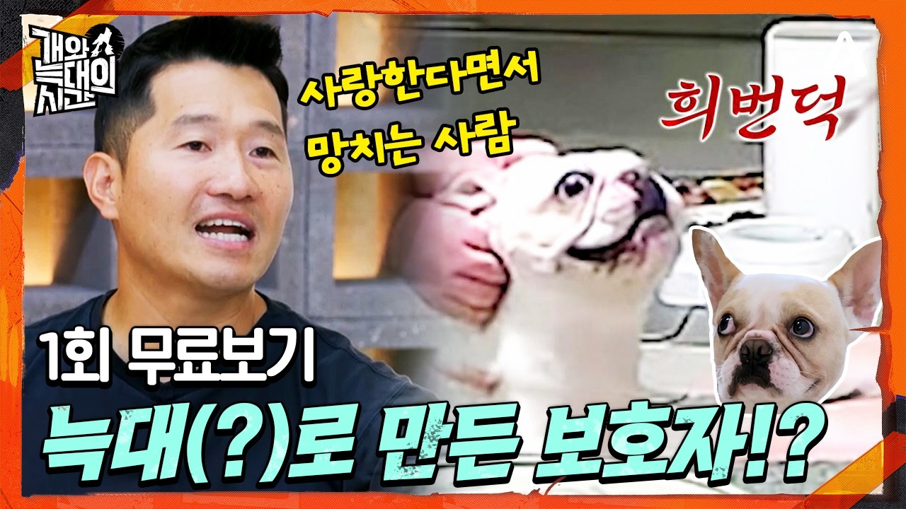 🔴 [#개와늑대의시간 1회 최초공개] 당신의 반려견은 개🐶일까, 늑대🐺일까? 개는 물론 반려인을 위한 맞춤형 솔루션까지 제공하는견생X인생 개선 프로젝트!