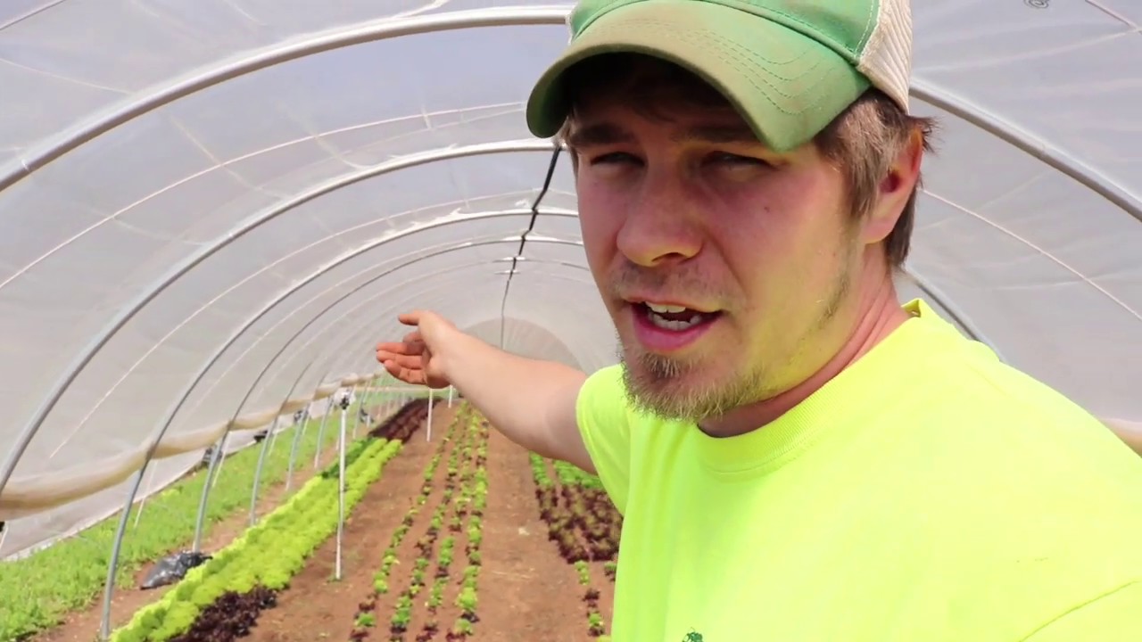 What is it like growing IN Caterpillar Tunnels?