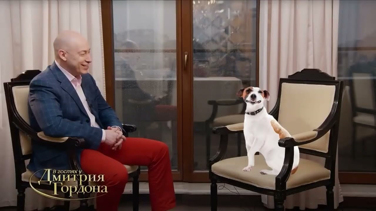 🫣ДИВИМОСЬ ТЕ ЩО СКИНУТЬ В ЧАТІ  DimA zhe в ТЕЛЕГРАМІ