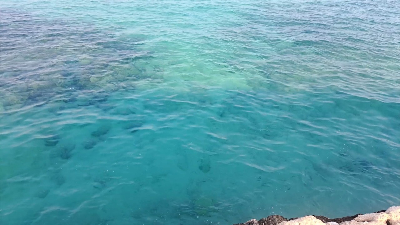 🌊 🏖️ So Clear You Can See Below | Crystal Water Beach Ambience | Relaxing Ocean Sounds 💎