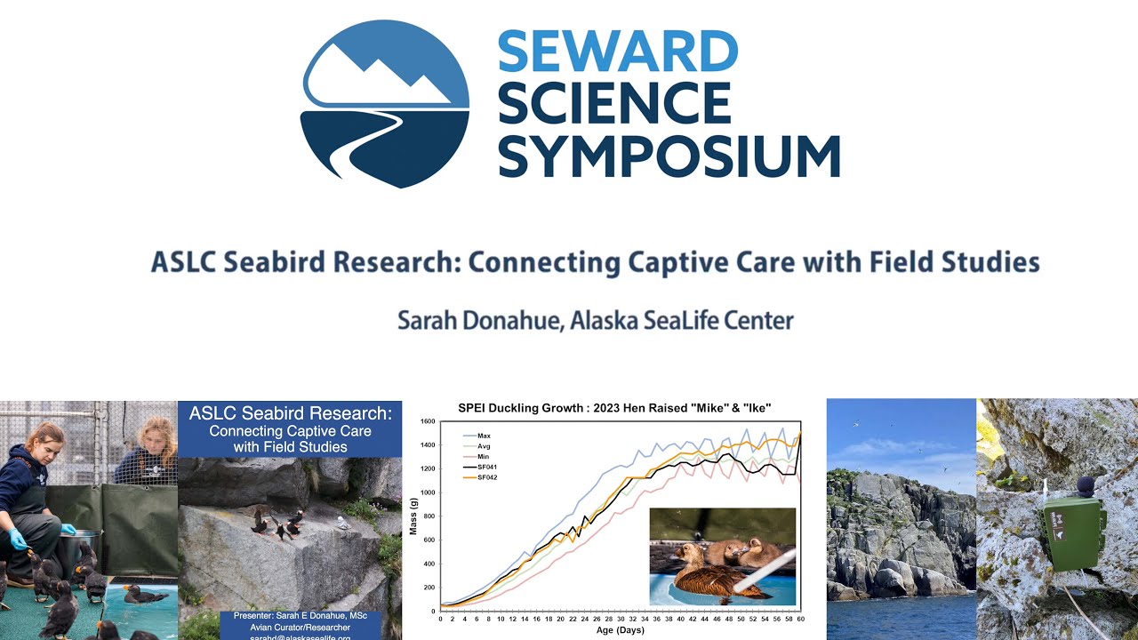 Sarah Donahue: ASLC Seabird Research, Connecting Captive Care with Field Studies