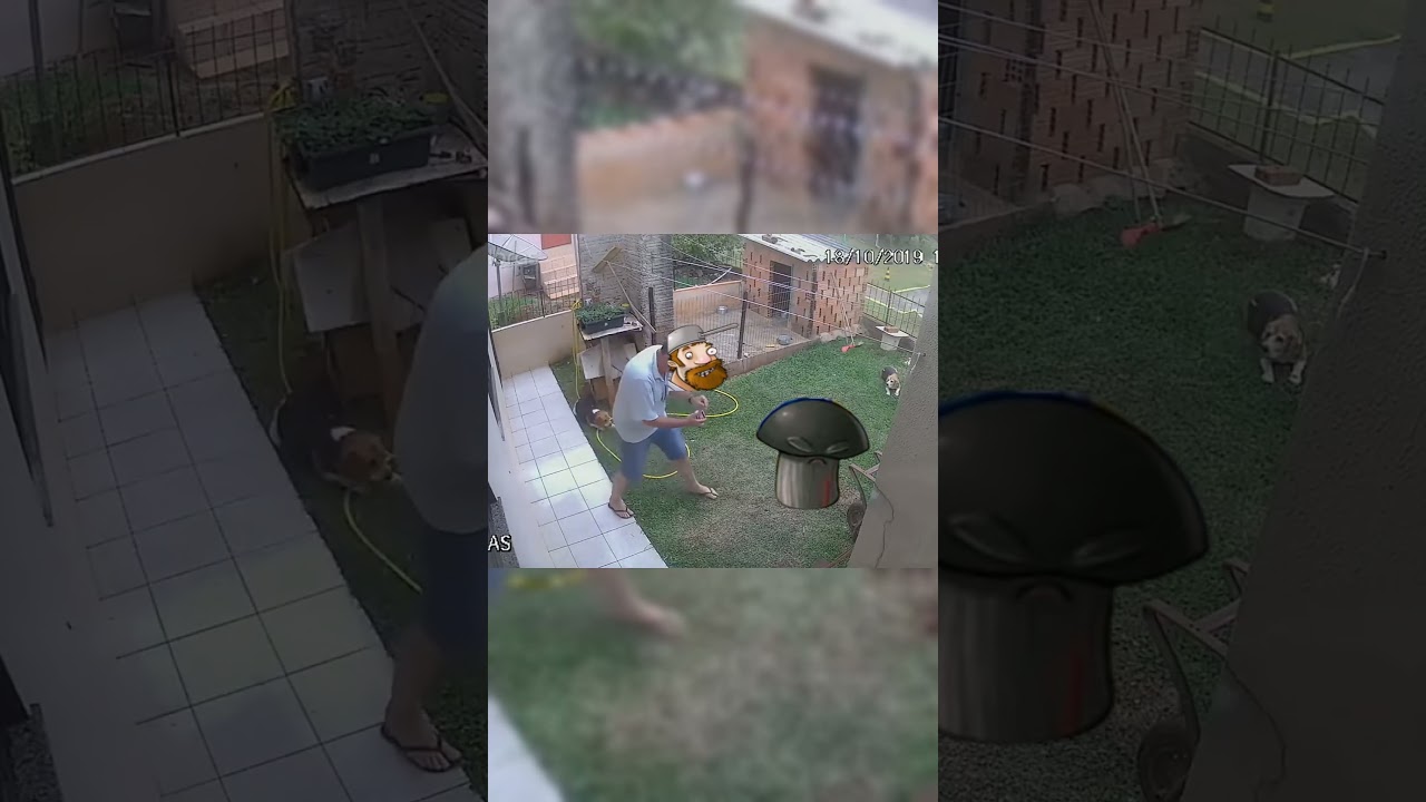 wewi wabo #memes #shorts #pvz #xd