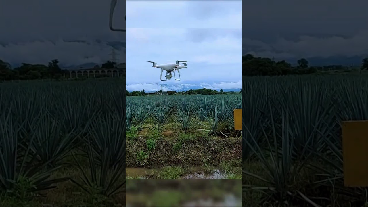 Drone DJI Phantom 4 Pro V2.0 🚀