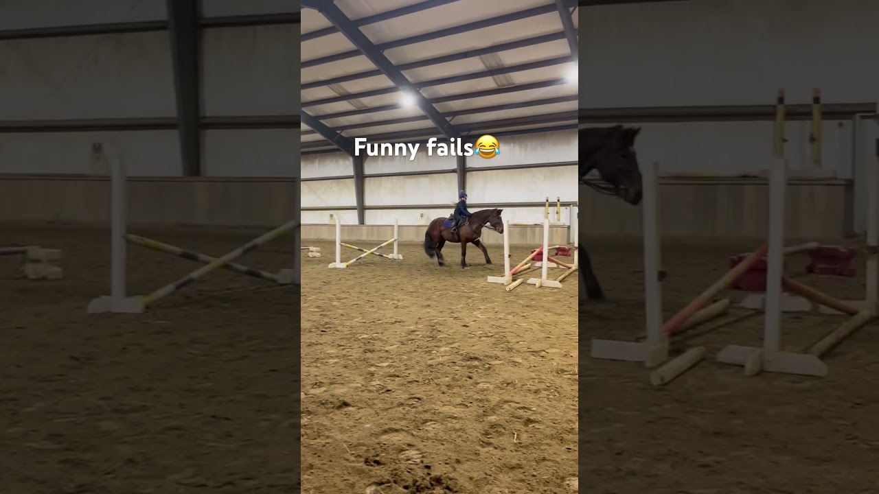 Funny 😂 #horse #funnyhorsefails #equestrian ￼￼ #horsefails #horseriding #failsvids