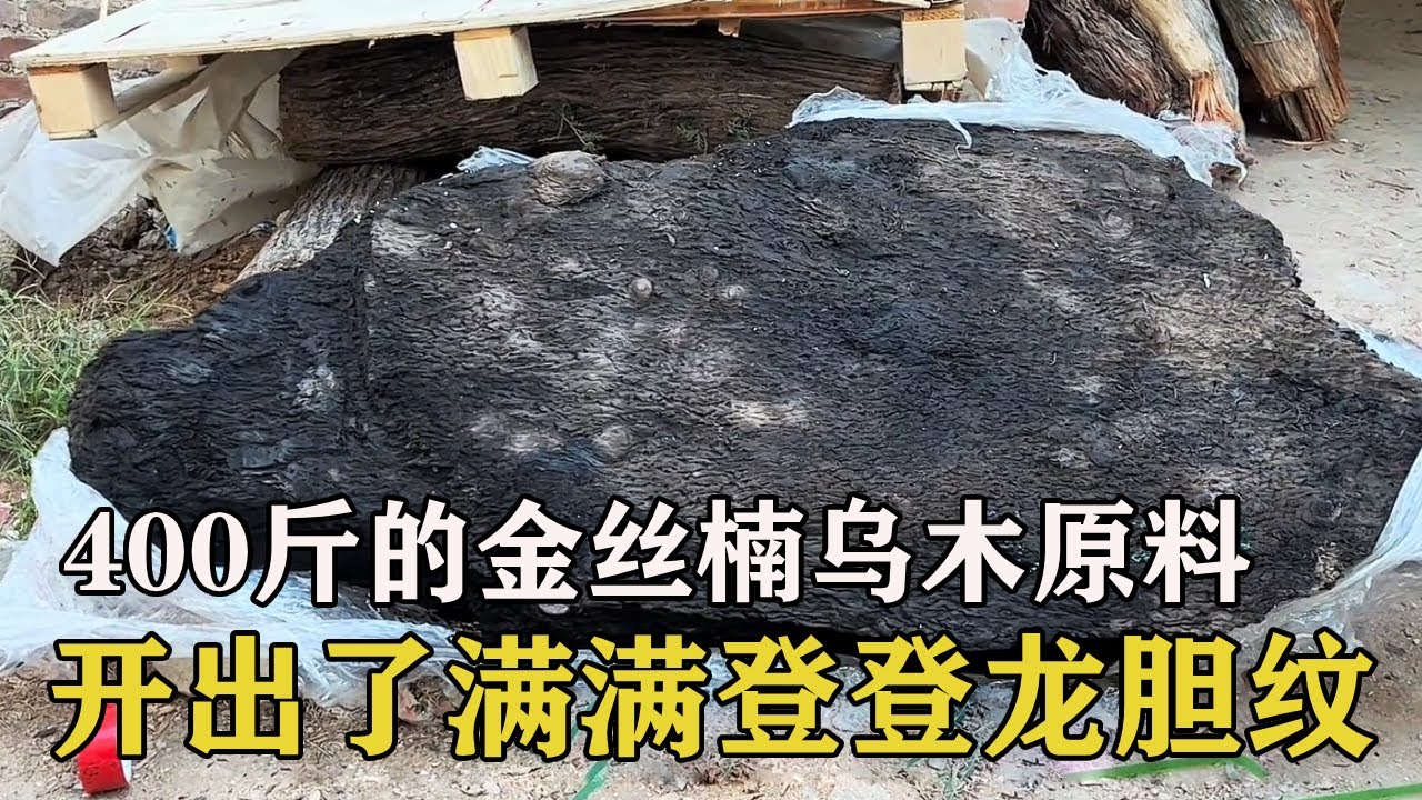 400斤的金丝楠乌木原料，开出了满满登登龙胆纹，做茶台也太美了#土家瑶妹 #手串 #文玩  #千年琥珀木