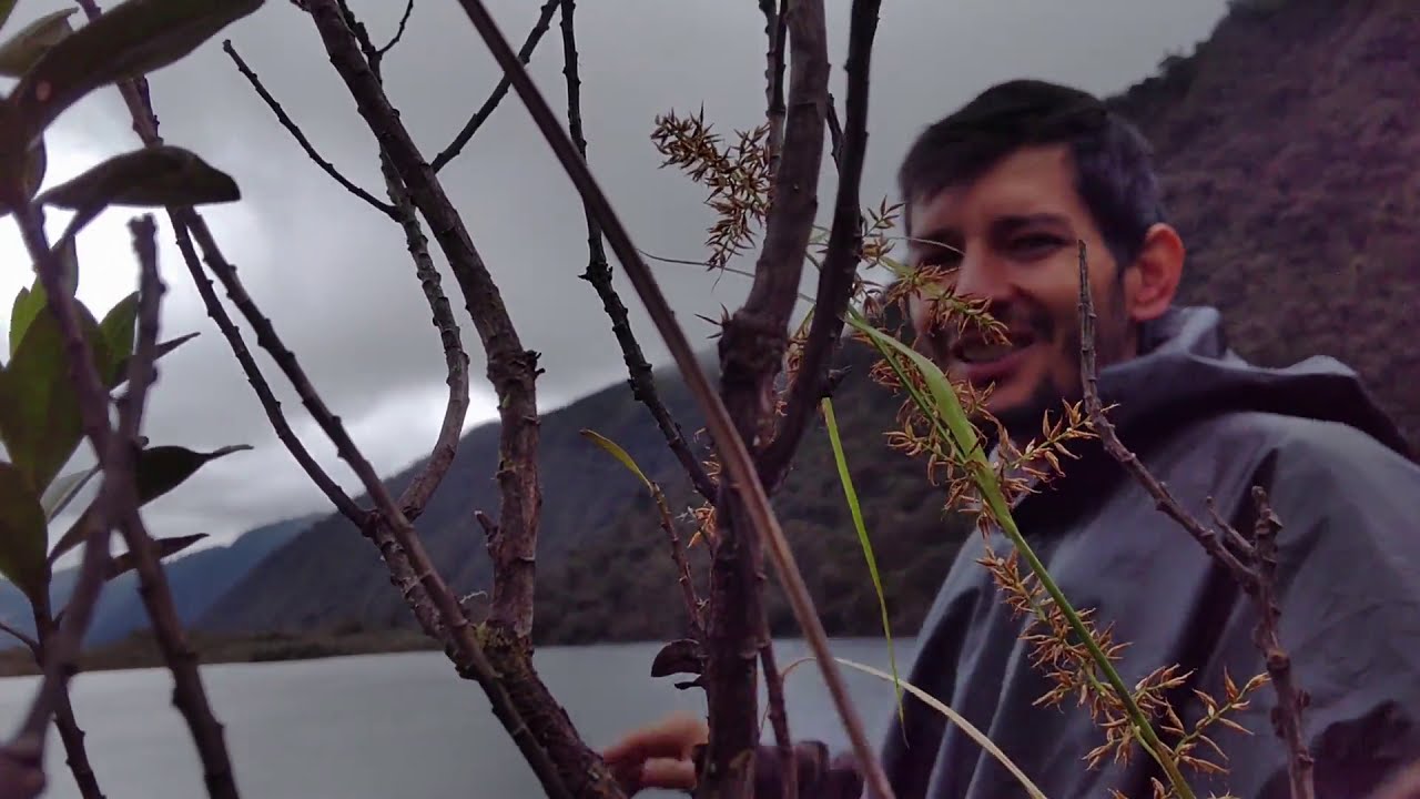 【 CHAPARRAL TOLIMA】▷SITIOS TURÍSTICOS ✅PARAMO NATURAL DE LAS HERMOSAS ◁LUGARES HERMOSOS DE COLOMBIA