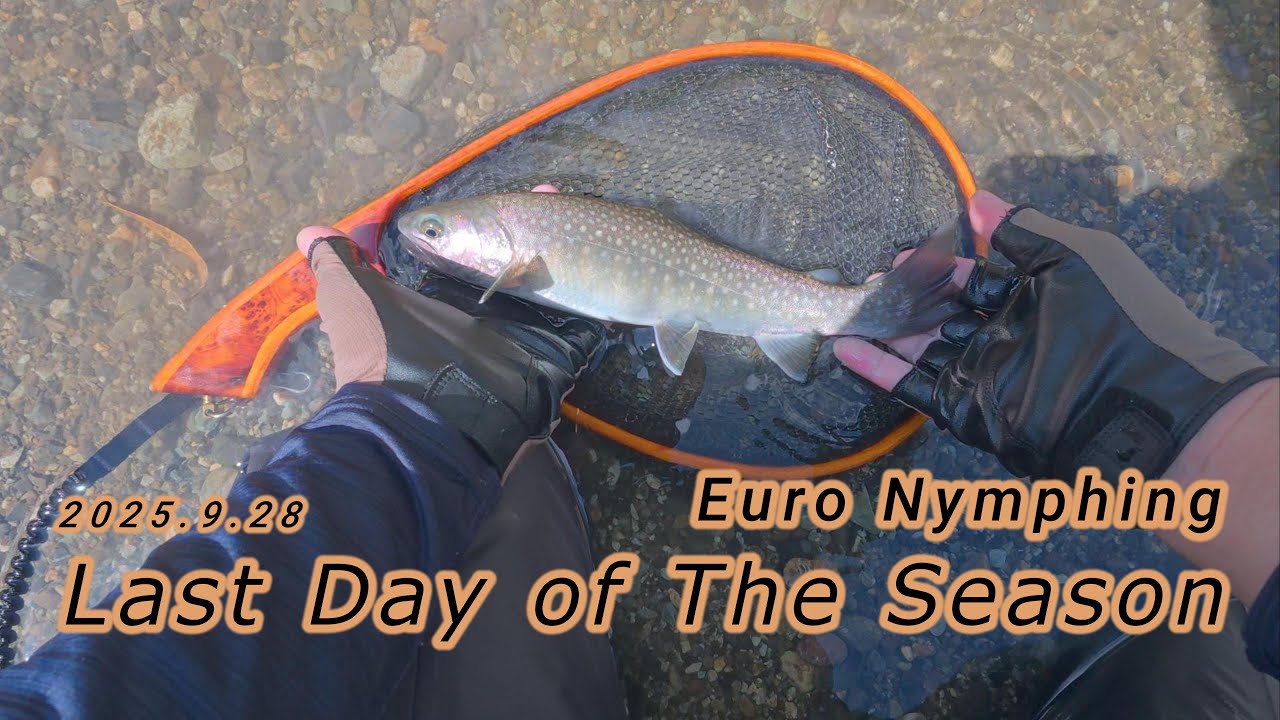 【ユーロニンフィング】2025.9.28 Last Day of The Season【Euro Nymphing】