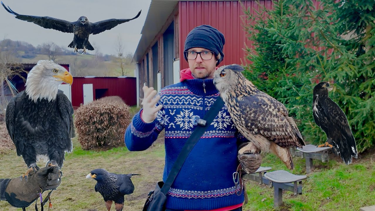 Fragen, ein Gruß und mehr 🦅🦉😊 - Greifvogelwarte Feldatal