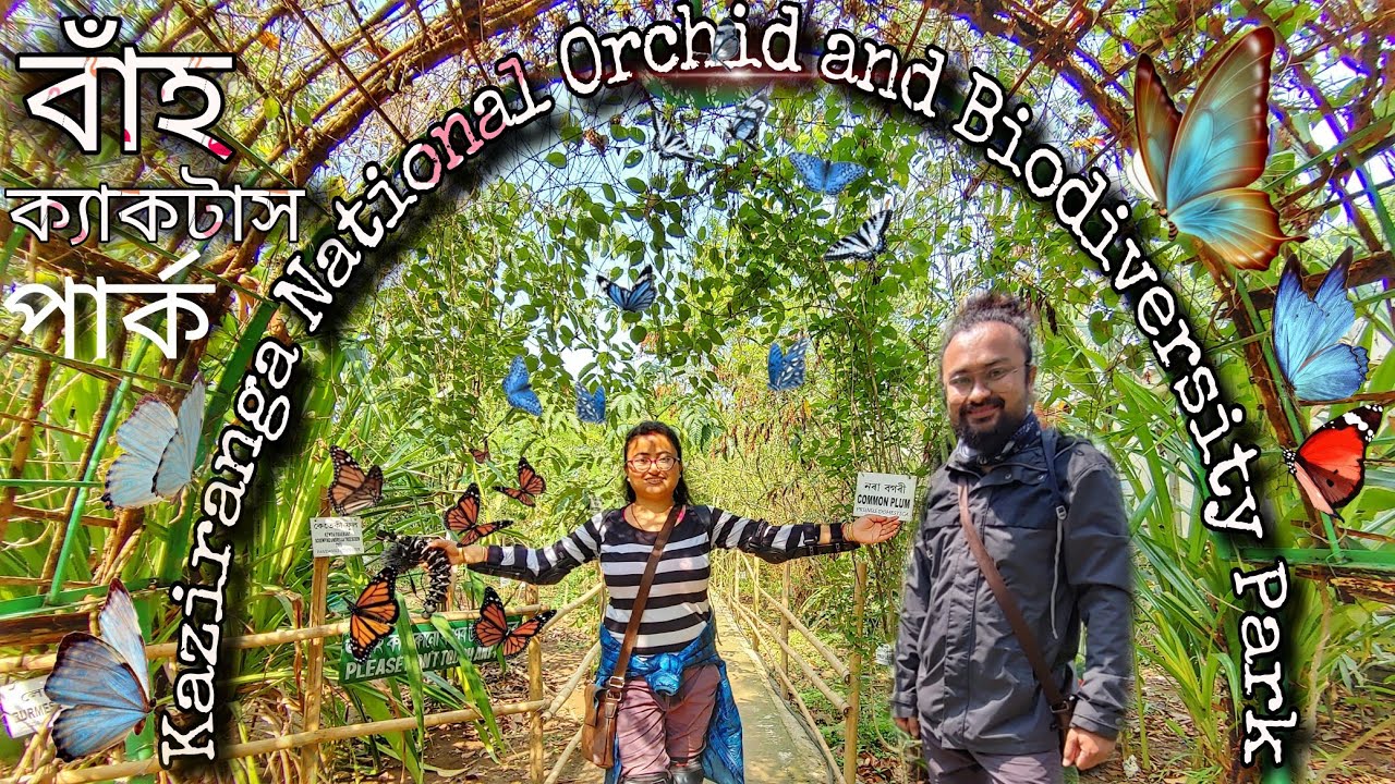 Kaziranga orchid park ।। অর্কিড পার্ক কাজিৰঙা ||  EP-02