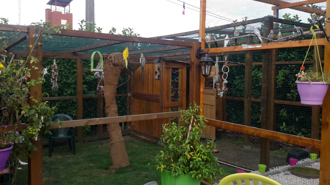 EXTERIEUR DE LA VOLIERE LE 03 09 2016