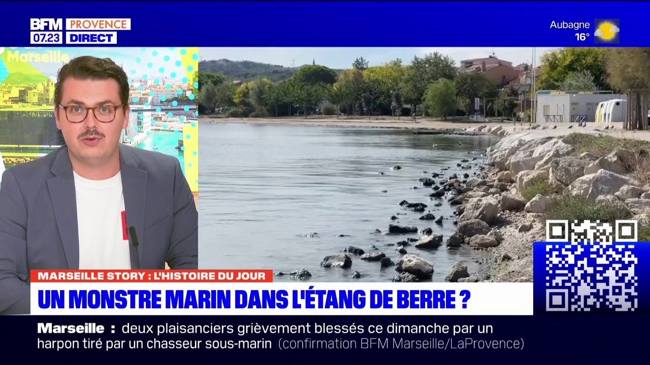 Vitrolles: une créature non-identifiée dans l'étang de Berre ? C'est ce qu'affirme un habitant