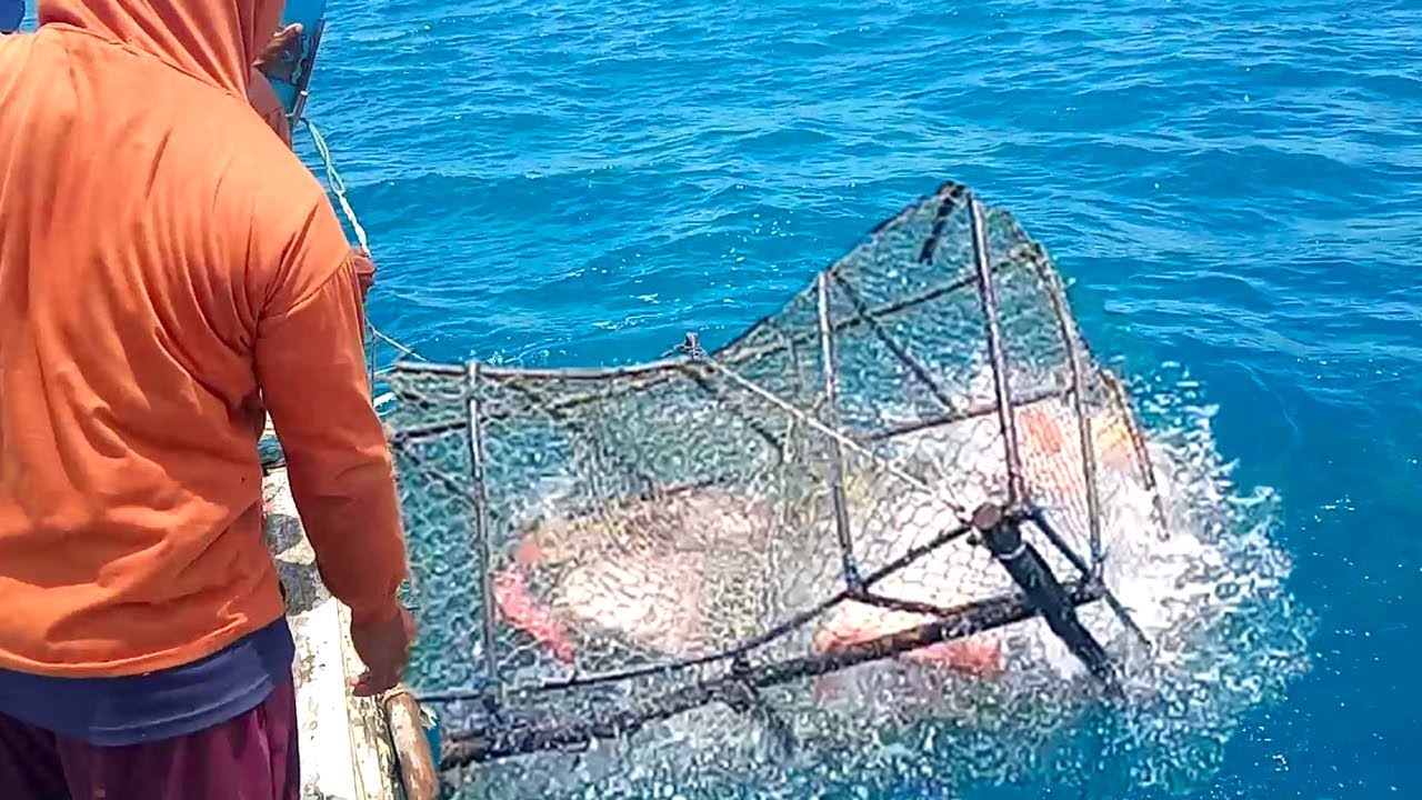 Awesome Easy Fish Trap on The Sea - Fishing Trap Deep Sea, Unique easy fish trap in the sea