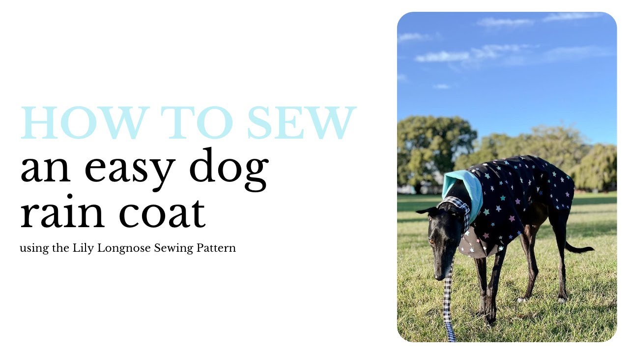 Easy Dog Rain Coat - Lily Longnose Sewing Tutorial