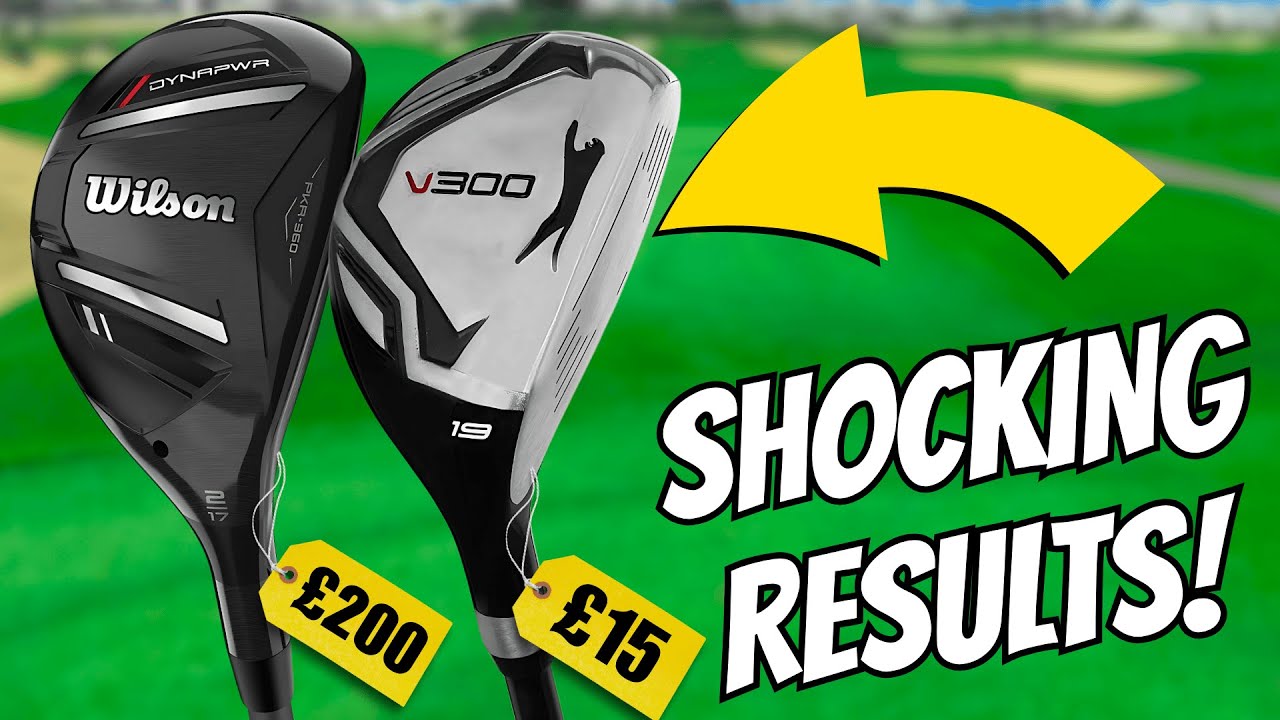 INCREDIBLE $20 Budget vs $250 BIG NAME Hybrid - CRAZY RESULTS