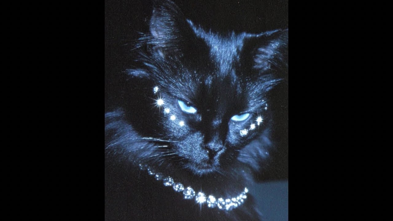 [FREE] Nemzzz x Dark Sample Hoodtrap Type Beat 