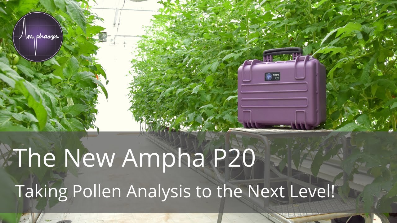 Amphasys - Ampha P20 Launch Event