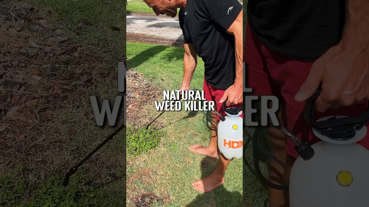 Natural homemade weed killer